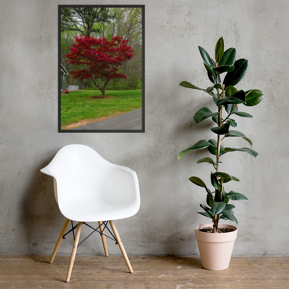 Framed Image of Red Tree