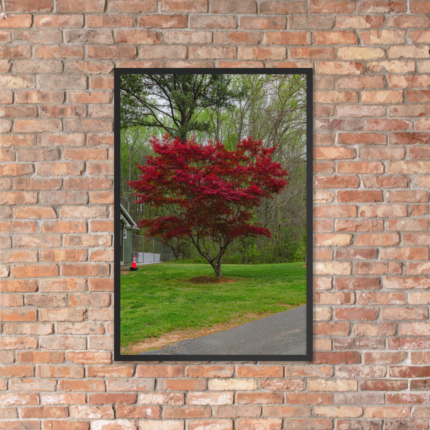 Framed Image of Red Tree